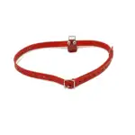 only-belt-red