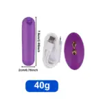 remote-purple